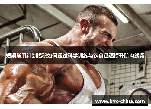 短期增肌计划揭秘如何通过科学训练与饮食迅速提升肌肉线条